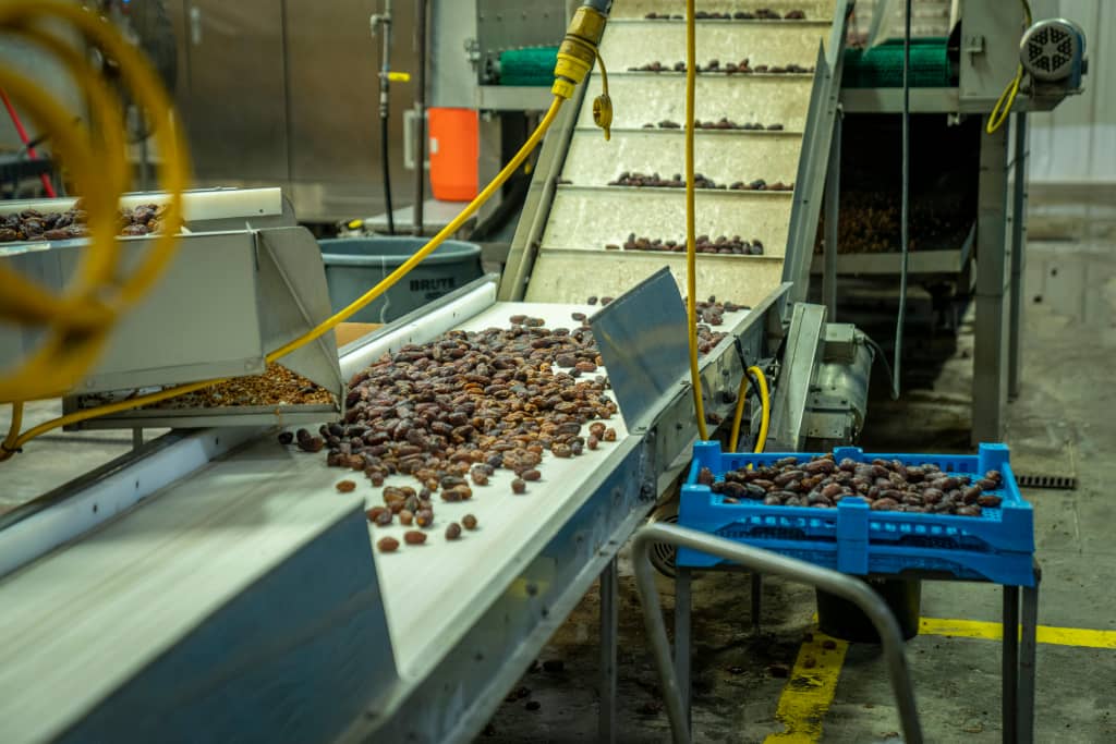 Industrial Business Incubators